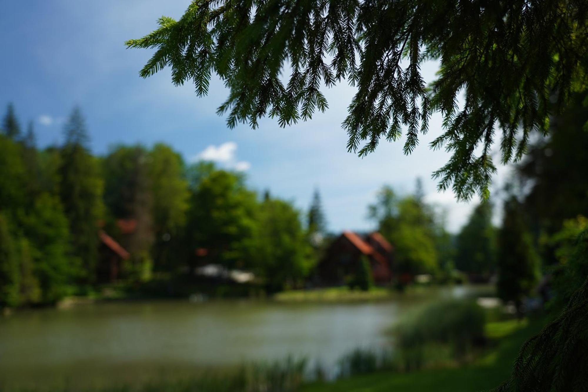 Hotel Ozero Vita Nizhniy Studenyy Dış mekan fotoğraf